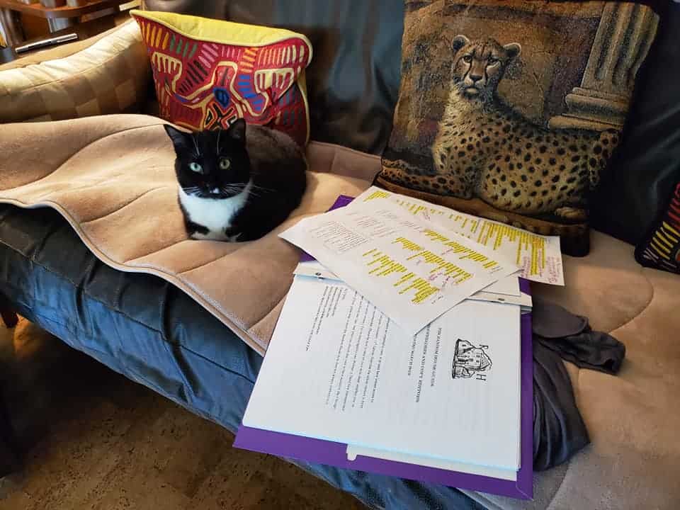 a black-and-white cat lies next to a pile of papers